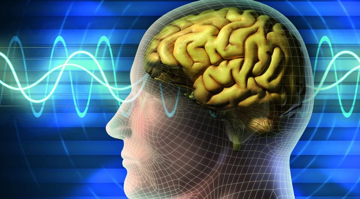 Das Gehirn wirksam vor elektromagnetischer Strahlung schützen